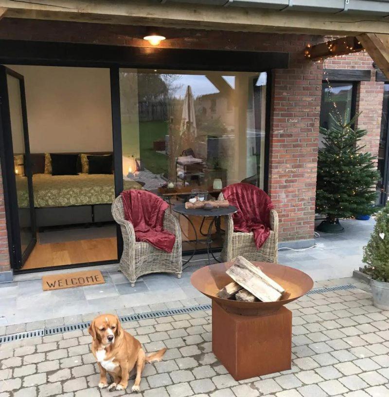 B&B Den Biesthoek Grimbergen Zewnętrze zdjęcie