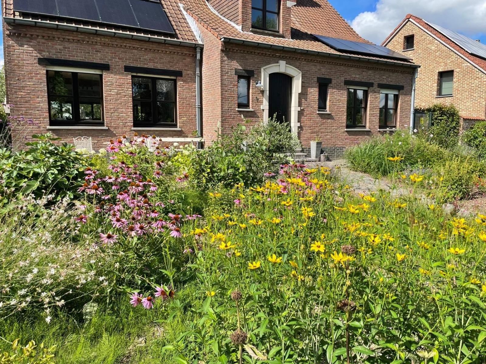 B&B Den Biesthoek Grimbergen Zewnętrze zdjęcie